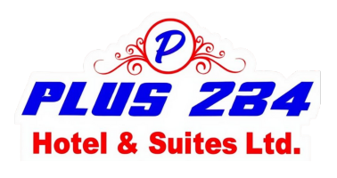Plus234 logo